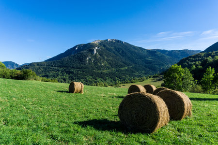 Landscape of hay bales on a field. Mountains in summer season. Haystacks on an agriculture field from France.の写真素材