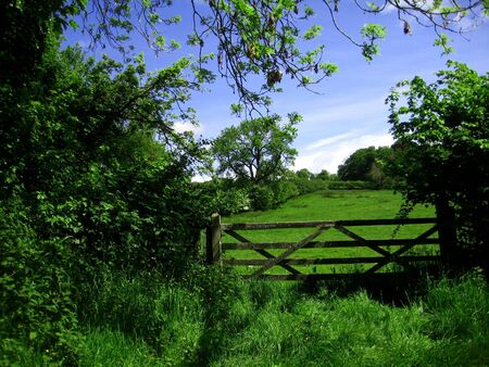 wooden country fence and meadowの写真素材