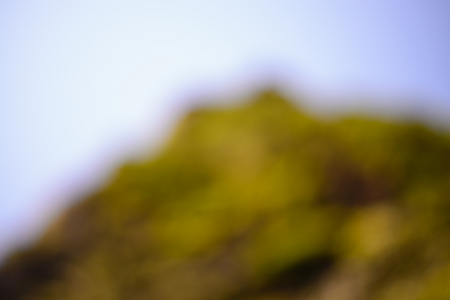 Abstract nature green blurred background with bokeh.の写真素材