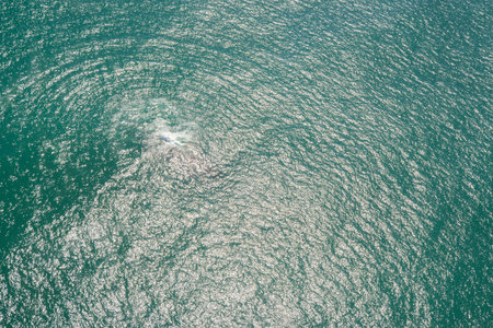 Abstract ocean background which can be used to add text, Sea surface aerial view.