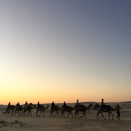 Vintage retro effect filtered hipster style image of Rajasthan travel background - indian cameleers (camel drivers) with camels silhouettes in dunes of Thar desert on sunset. Rajasthan, Indiaの写真素材