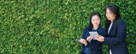 Business People Meeting Corporate Digital Device Connection Concept on tree wall - Panoramic banner.の写真素材