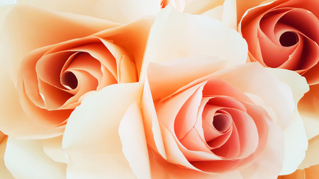 Close up of orange rose flower petals.の写真素材