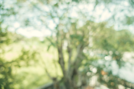 Blurred background : Abstract nature green blurred background with bokeh. spring season. vintage filtered image.の写真素材