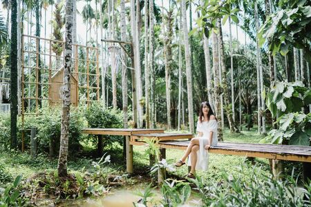 Young Asian woman relax in forest, Beautiful female happy using relax time in nature. Lifestyle women travel in forest concept.の写真素材