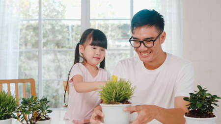 Happy cheerful Asian family dad and daughter watering plant in gardening near window at house.の写真素材