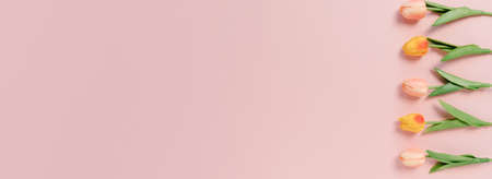 Creative flat lay of travel vacation spring or summer tropical fashion. Top view beach accessories on pastel pink color background. Panoramic banner with copy space for text and Advertising area.の写真素材