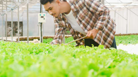 Cheerful young attractive Asia guy farmer checking research quality of green oak from hydroponics vegetable farm in greenhouse garden in morning. Agriculture organic for health, Vegan food concept.の写真素材
