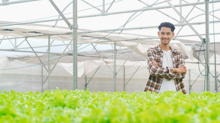 Cheerful young attractive Asia guy farmer harvesting green oak from hydroponics vegetable farm in...