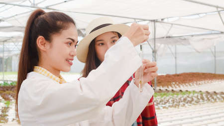 Asian scientist woman test solution chemical inspection soil in organic farm and show result to the owner in greenhouse, Woman farmer in a garden, Concept for new technology in the agriculture.の写真素材