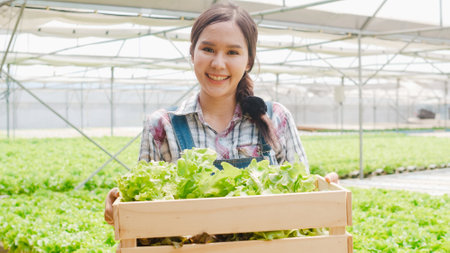 Portrait of young Asia lady farmer holding basket of green oak looking at camera and smile in hydroponics vegetable farm in morning. Agriculture organic for health, Vegan food, Small business concept.の写真素材