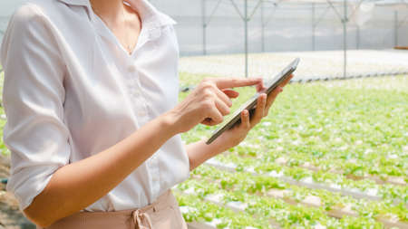 Young Asian businesswoman farmer with product selling good quality plant and vegetable and holding tablet looking at camera at organic farm in greenhouse garden, Farm innovation technology concept.の写真素材