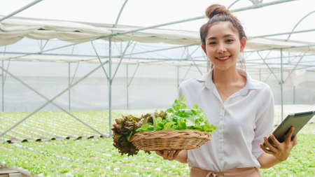 Young Asian businesswoman farmer with product selling good quality plant and vegetable and holding tablet looking at camera at organic farm in greenhouse garden, Farm innovation technology concept.の写真素材