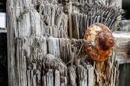 Old rusty timber bolt inside a wooden pylon of what used to be a pier.の写真素材