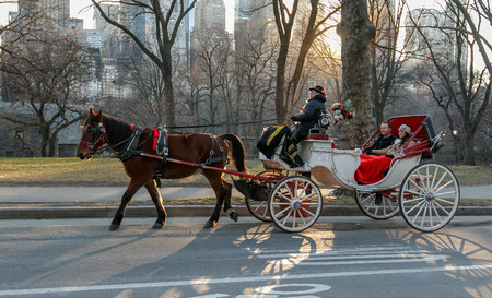 New York, February 6, 2017: Tourists are enjoying a horse drawn carriage drive in Central Park.のeditorial素材