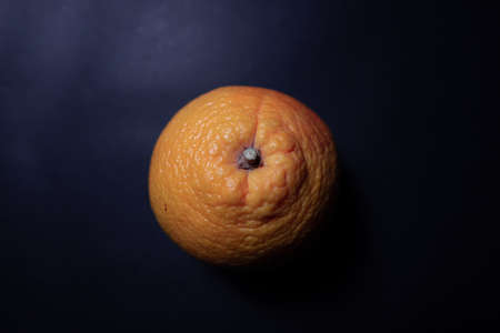 Orange detail with some droplets on it.の写真素材