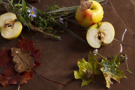 flowers paper food yellow template plant vintage decorative craft dinner harvest green red pattern text wallpaper object floral celebration creative fruit table composition dry postcard wet stone.の写真素材