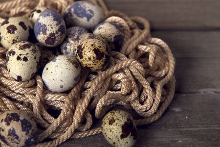 Easter background: quail eggs and rope socketの写真素材
