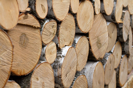 birch logs are stacked in a pile of bricks. background. side view