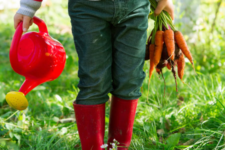 child with a bunch of carrots and watering canの写真素材