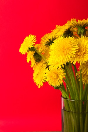 Wild flowers in a vase, bouquetの写真素材