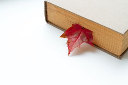 Maple autumn leaves inside in the bookの写真素材