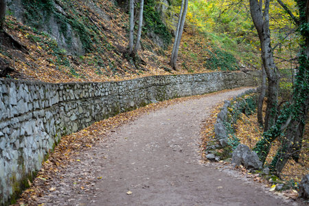 winding road in an autumn landscape between treesの写真素材