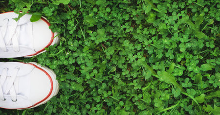 White sneakers shoes standing on green grass