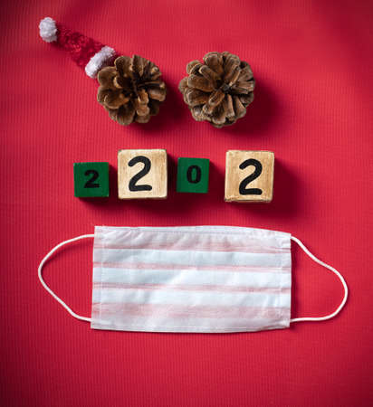 Celebrating Christmas during pandemic.の写真素材