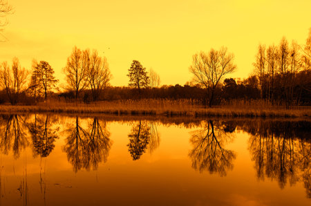 Taken in Bydgoszcz-MyÅ›lcinek - the largest natural urban park in Poland.