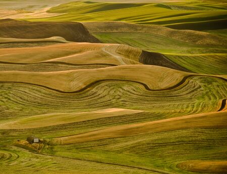 Farms of Palouseの写真素材