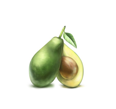 Avocado. Picture of avocado isolated on white backgroundの写真素材