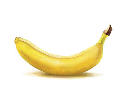 Banana. Banana drawing isolated on white backgroundの写真素材