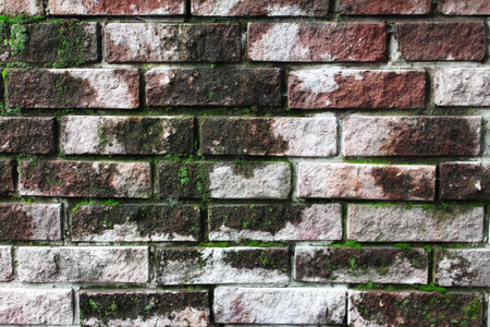brick textureの写真素材