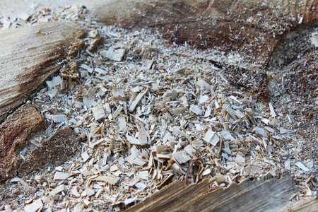 wood textureの写真素材