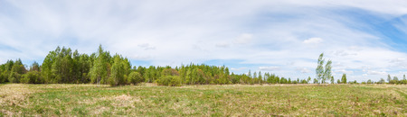Field in the summer with forest on the horizonの写真素材