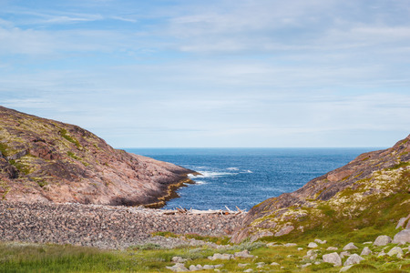 The coast of the Barents Sea on a summer dayの写真素材