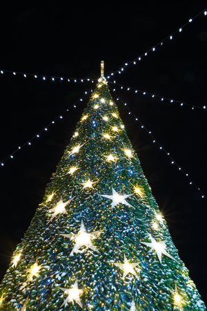 Christmas tree decorated with stars on the background of the dark skyの写真素材