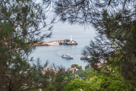 View of the port of Yalta through the coniferous branchesの写真素材