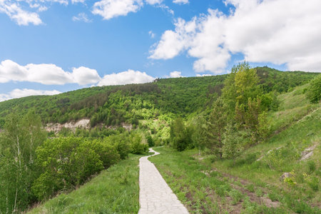 Walking in Samarskaya Luka National Park at summer, Russia