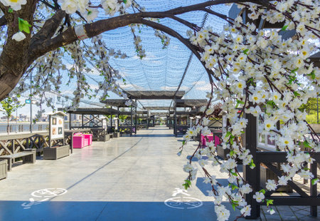Kazan city, Republic of Tatarstan/Russia - may 24 2019: Flowers, alley, arch on the embankment