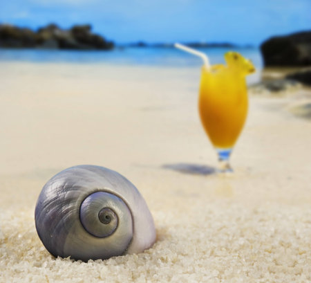 Beautiful seashell on a tropical island beach with fruit cocktail in background