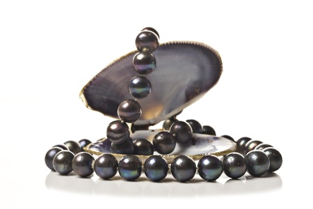 String of black pearls in a sea shell on whiteの写真素材
