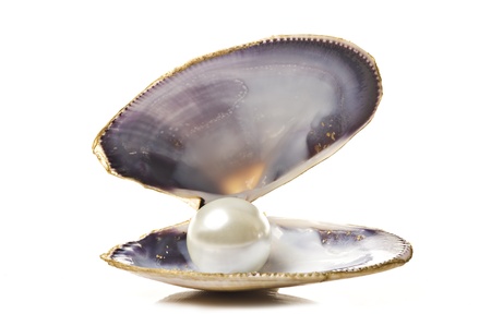 One white pearl in a sea shell on white backgroundの写真素材