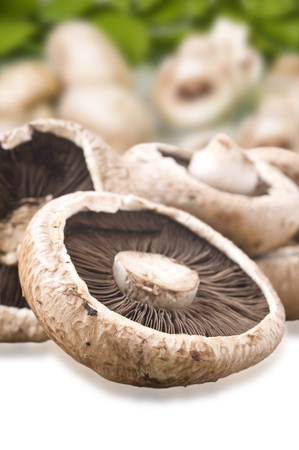 Healthy fresh mushrooms with very shallow depth of fieldの写真素材