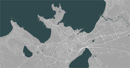 vector map of the city of Tallinn, Estoniaのイラスト素材