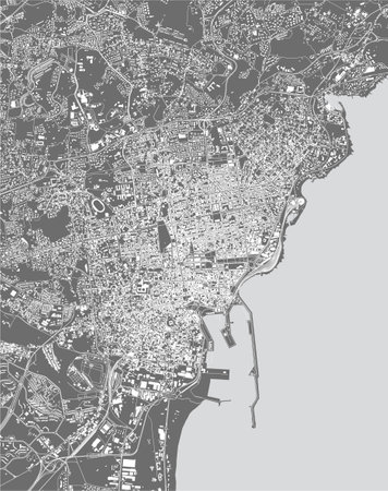 map of the city of Catania, Sicily, Italyのイラスト素材