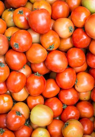 Group of fresh tomatoes at the marketの写真素材
