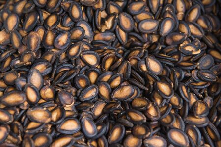 Black dry watermelon seedの写真素材