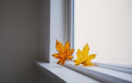 Autumn leaves on the windowsill. Autumn background. Selective focus.の素材